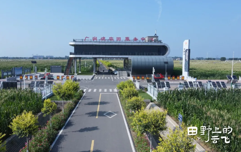 安陽(yáng)廣潤(rùn)坡高標(biāo)準(zhǔn)農(nóng)田示范區(qū)：在萬(wàn)畝良田上，建一座數(shù)字糧倉(cāng)