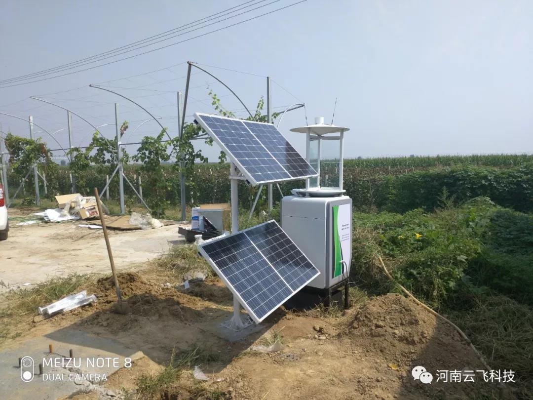 蟲情測報燈為葡萄園蟲害防治提供指導