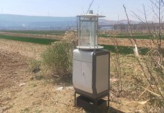 遠程拍照式蟲情測報燈保產保質，開展小麥高效